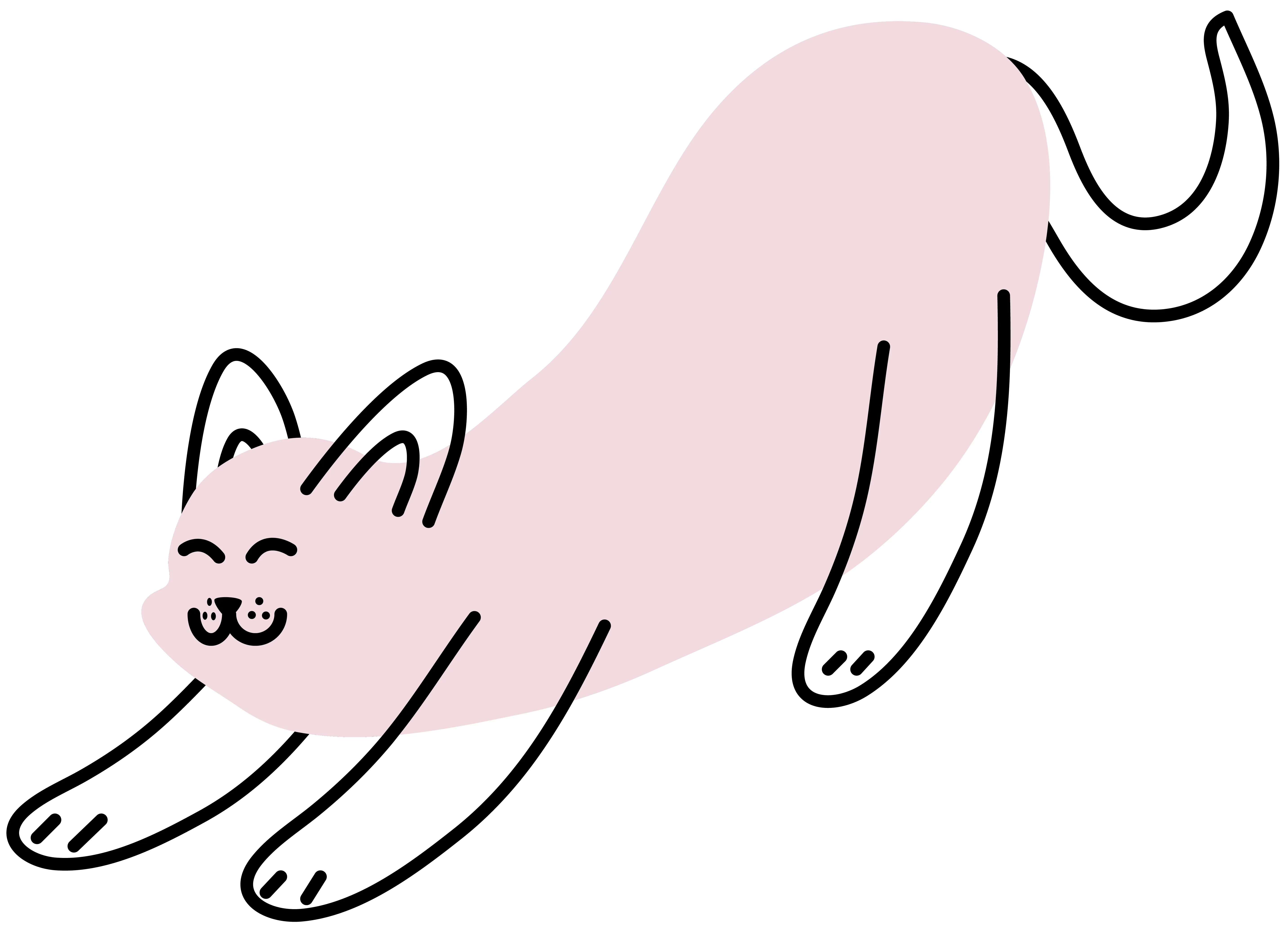 Illustrated cat stretching and smiling